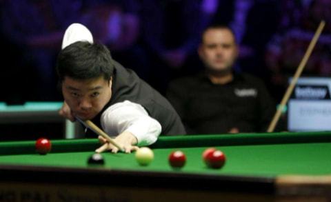 展现出极高 展现出极高